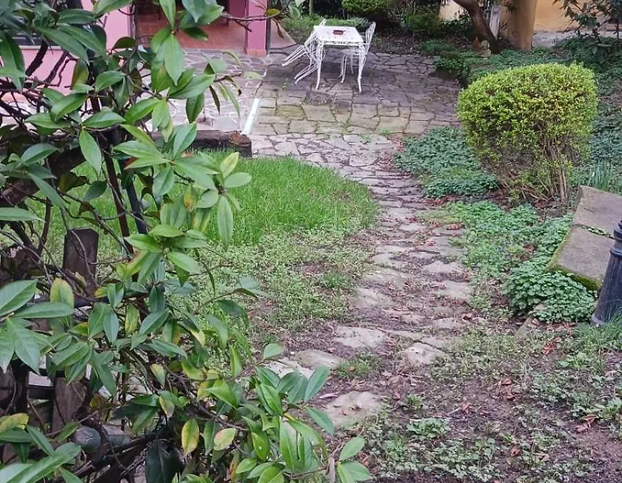 Agriturismo Il Gelso-1